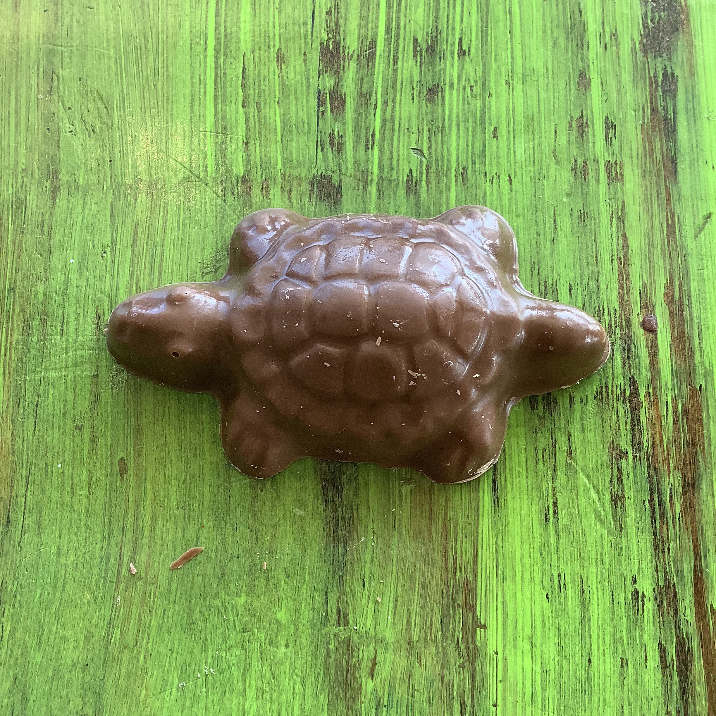 Solid Milk Chocolate Turtle