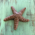 Milk Chocolate Starfish